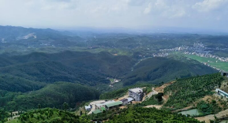 想喝地道的客家绿茶|五华县溯源天柱山生态茶园